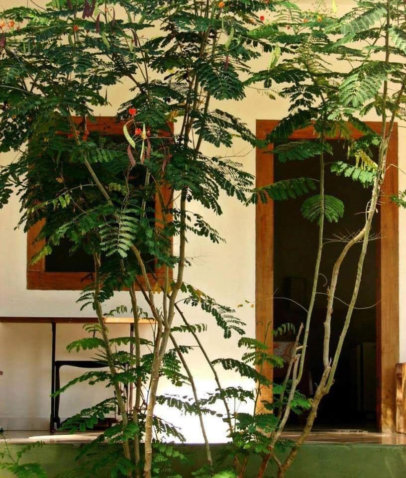 Pousada Villa Da Gama Araquari Zimmer foto